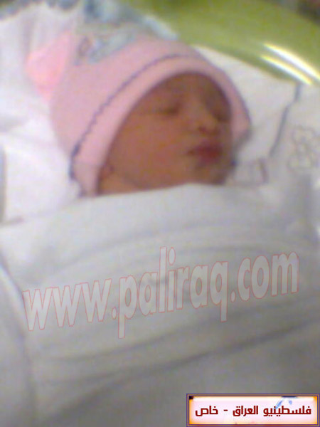 http://www.paliraq.com/images/weladaat/renashammobirth/a%20%281%29.jpg