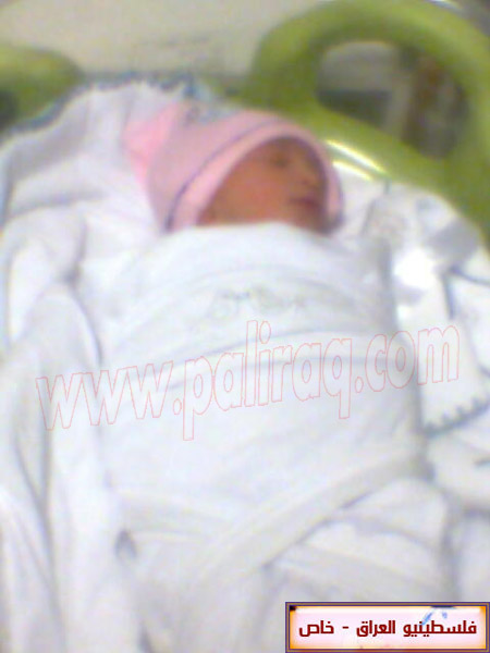 http://www.paliraq.com/images/weladaat/renashammobirth/a%20%282%29.jpg