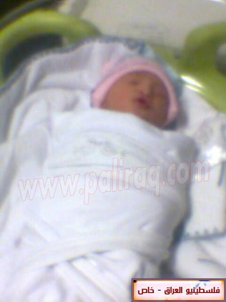 http://www.paliraq.com/images/weladaat/renashammobirth/a%20%283%29.jpg
