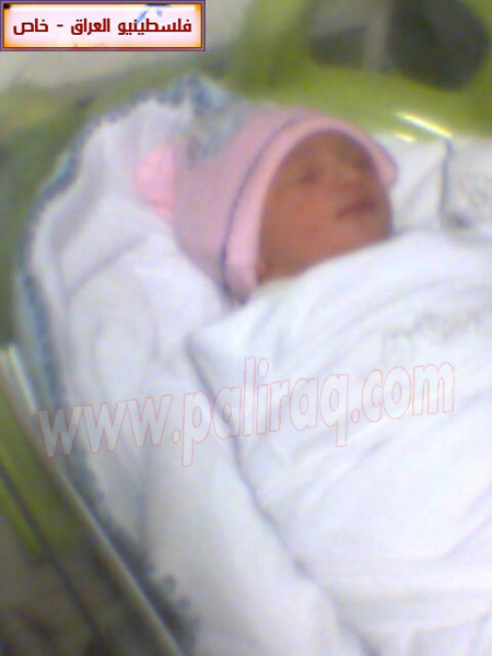 http://www.paliraq.com/images/weladaat/renashammobirth/a%20%284%29.jpg