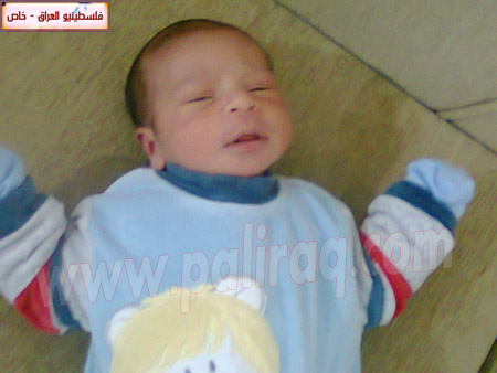 http://www.paliraq.com/images/weladaat/s_abozamaq/1%20%284%29.jpg