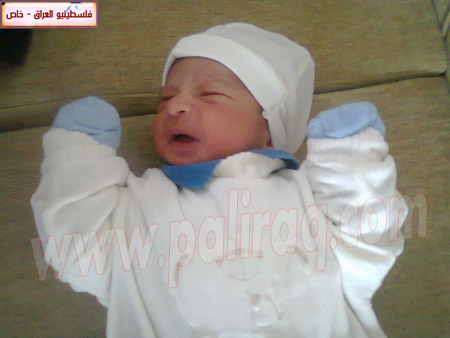 http://www.paliraq.com/images/weladaat/s_abozamaq/1%20%288%29.jpg