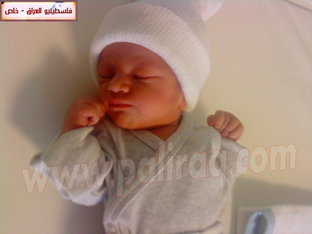 http://www.paliraq.com/images/weladaat/selena_ali_fhed/DSC05443.JPG