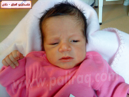 http://www.paliraq.com/images/weladaat/selena_ali_fhed/DSC05457.JPG