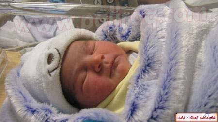 http://www.paliraq.com/images/weladaat/seren_qasem/IMG_2191.JPG