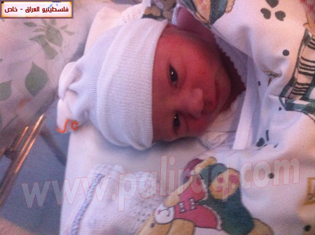 http://www.paliraq.com/images/weladaat/smia_madi/IMG_0492.JPG