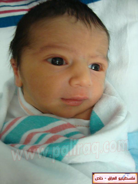 http://www.paliraq.com/images/weladaat/yousifalsaeed/1.jpg