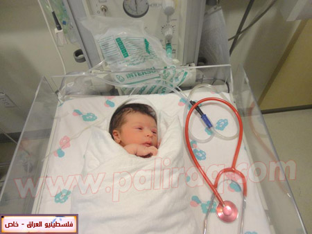 http://www.paliraq.com/images/weladaat/yousifnemerbirth/DSC00092.jpg