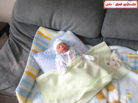 http://www.paliraq.com/images/weladaat/yousifnemerbirth/DSC00137.jpg