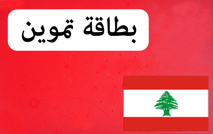 قلق فلسطيني من بطاقة التموين اللبنانية
