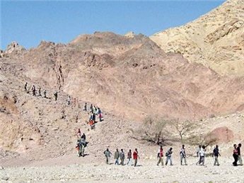 محكمة مصرية تؤجل النظر في دعوى لمنع تملك الفلسطينيين لأراض في سيناء