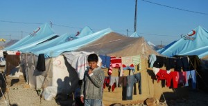 شبلاق يدعو إلى تحسين ظروف اللاجئين الفلسطينيين لغاية الوصول للحل النهائي