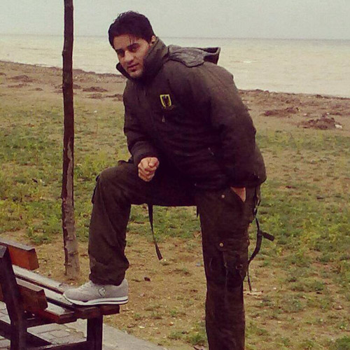اختفاء الفلسطيني الشاب ماهر عبدالرحيم خضر محمد مشينش في سوريا